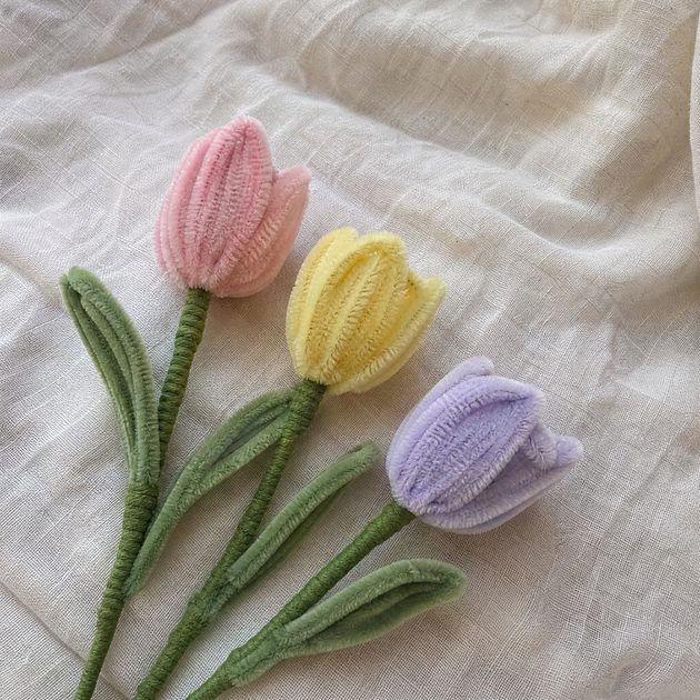 tulipanes