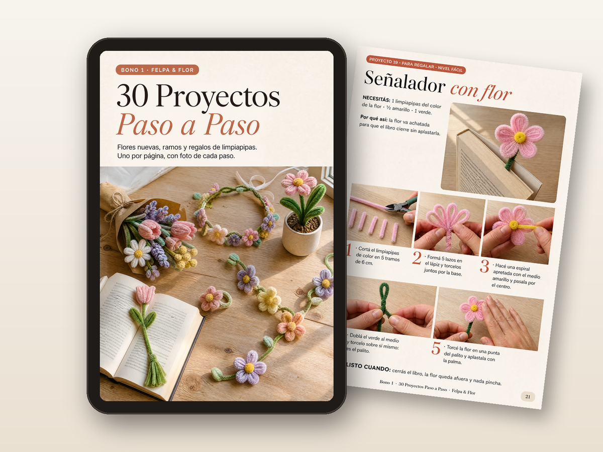 30 Proyectos Paso a Paso